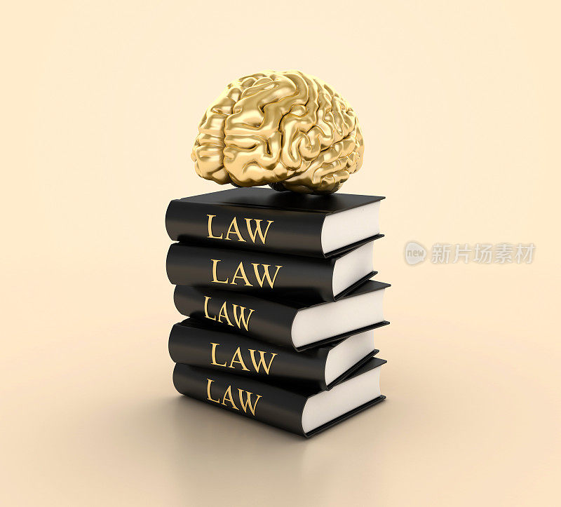 Brain on Law书籍